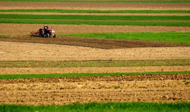 Shtyhen deri ne fund te 2017 afatet per kalimin e tokave bujqesore ne zonat rurale